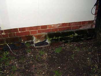 Wet Walls showing green surface growth