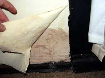 Internal view - wet skirting boards